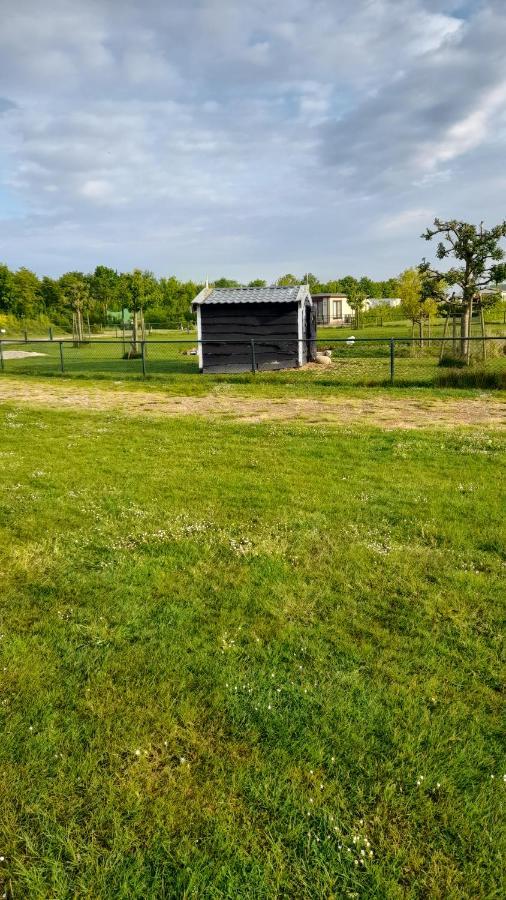 'T Blauwtje Baarland Villa Kültér fotó
