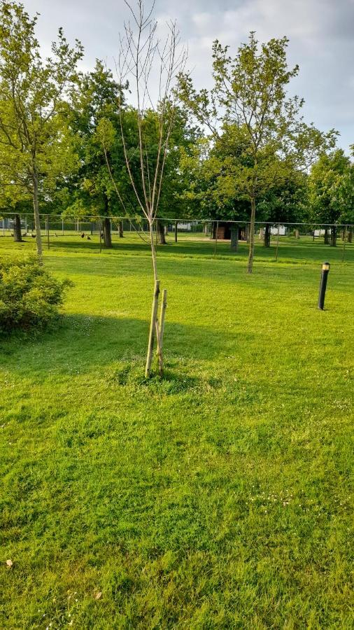 'T Blauwtje Baarland Villa Kültér fotó
